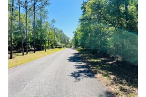 0000 90 LOOP LOOP, DUNNELLON, FL 34431 Sold 05/23/25