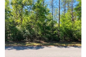 0000 90 LOOP LOOP, DUNNELLON, FL 34431 Sold 05/23/25