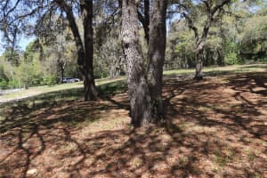 4701 181ST COURT, DUNNELLON, FL 34432 - MLS#MFROM699797