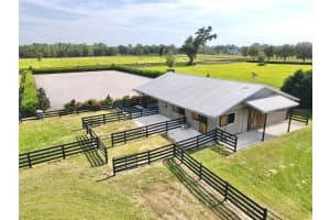 5391 153RD COURT, MORRISTON, FL 32668 - MLS#MFROM699807