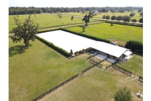 5391 153RD COURT, MORRISTON, FL 32668 - MLS#MFROM699807