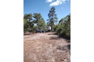 NE 234TH LANE LN NE, FORT MC COY, FL 32134 Sold 05/16/25