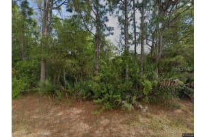 3510 MENTONE STREET, PUNTA GORDA, FL 33980 Sold 06/12/25