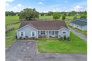 2780 127TH PLACE, ANTHONY, FL 32617 - MLS#MFROM699876