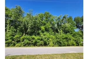 TBD YAZOO COURT, DUNNELLON, FL 34431 - MLS#MFROM699897