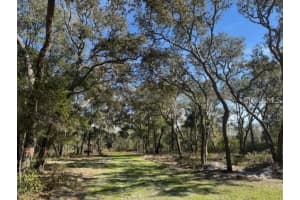 NE 150TH AVE RD #LOT 3, FORT MC COY, FL 32134 - MLS#MFROM699899