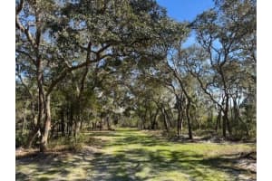 NE 150TH AVE RD #LOT 3, FORT MC COY, FL 32134 - MLS#MFROM699899