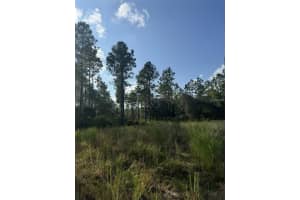 NE 150TH AVE RD #LOT 5, FORT MC COY, FL 32134 - MLS#MFROM699904