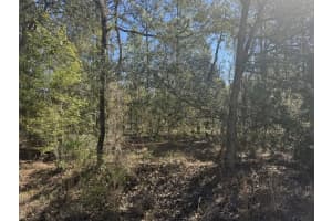 TBD SMALLWOOD ROAD, DUNNELLON, FL 34431 Sold 05/19/25
