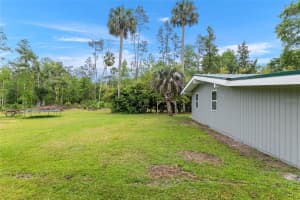 11065 42ND STREET, SILVER SPRINGS, FL 34488 - MLS#MFROM699934