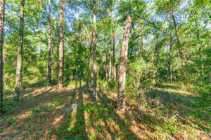 5282 ROBERT BLAKE AVENUE, INVERNESS, FL 34452 Sold 07/28/25