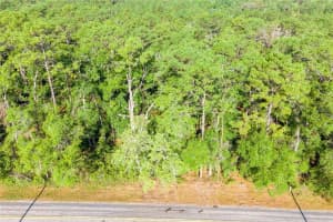 5282 ROBERT BLAKE AVENUE, INVERNESS, FL 34452 Sold 07/28/25