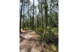 TBD 156TH LANE, FORT MC COY, FL 32134 - MLS#MFROM699945