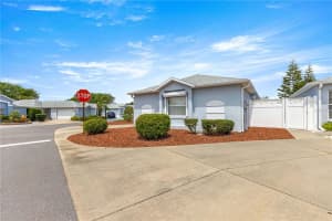 3017 MOULTRIE WAY, THE VILLAGES, FL 32162 - MLS#MFROM699954