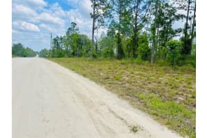 0000 132 TERRACE TERRACE, WILLISTON, FL 32696 - MLS#MFROM699989