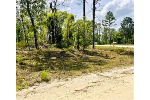 0000 132 TERRACE TERRACE, WILLISTON, FL 32696 - MLS#MFROM699989