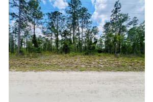 0000 132 TERRACE TERRACE, WILLISTON, FL 32696 - MLS#MFROM699989