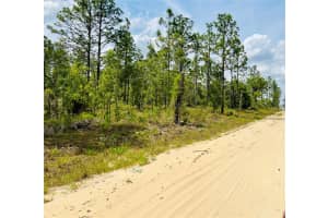 0000 132 TERRACE TERRACE, WILLISTON, FL 32696 - MLS#MFROM699990