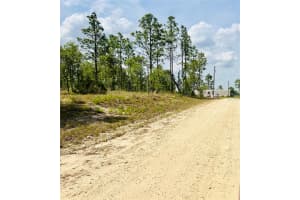 0000 132 TERRACE TERRACE, WILLISTON, FL 32696 - MLS#MFROM699990