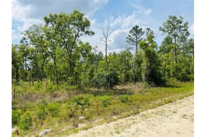 0000 132 TERRACE TERRACE, WILLISTON, FL 32696 - MLS#MFROM699991