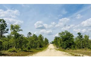 0000 132 TERRACE TERRACE, WILLISTON, FL 32696 - MLS#MFROM699991
