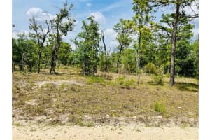 0000 132 TERRACE TERRACE, WILLISTON, FL 32696 - MLS#MFROM699992