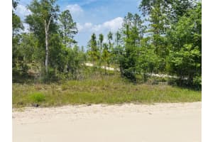 0000 132 TERRACE TERRACE, WILLISTON, FL 32696 - MLS#MFROM699993
