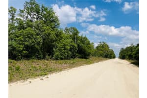 0000 132 TERRACE TERRACE, WILLISTON, FL 32696 - MLS#MFROM699993