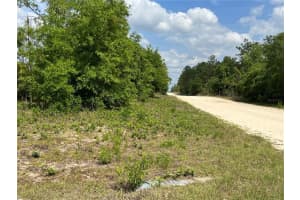 0000 131 TERRACE TERRACE, WILLISTON, FL 32696 - MLS#MFROM699995