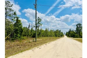 0000 131 TERRACE TERRACE, WILLISTON, FL 32696 - MLS#MFROM699995