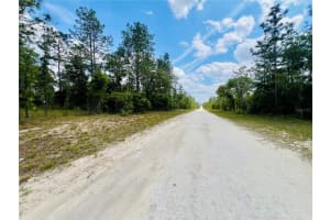 0000 131 TERRACE, WILLISTON, FL 32696 - MLS#MFROM699996