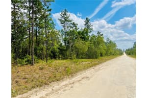 0000 131 TERRACE, WILLISTON, FL 32696 - MLS#MFROM699996