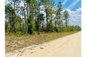 0000 131 TERRACE, WILLISTON, FL 32696 - MLS#MFROM699996