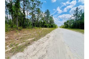 0000 131 TERRACE TERRACE, WILLISTON, FL 32696 - MLS#MFROM699998