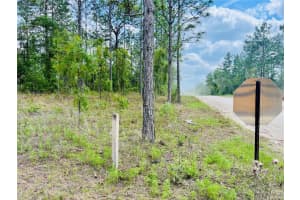 0000 131 TERRACE TERRACE, WILLISTON, FL 32696 - MLS#MFROM699999