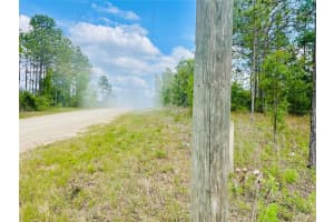 0000 131 TERRACE TERRACE, WILLISTON, FL 32696 - MLS#MFROM699999