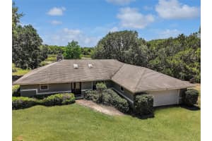26200 SE HIGHWAY 42, UMATILLA, FL 32784 - MLS#MFROM700017