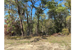 0 159TH STREET, OCALA, FL 34473 Sold 09/03/25