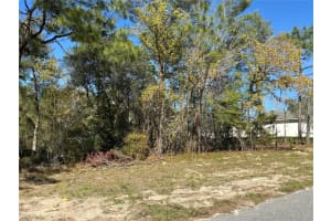 0 159TH STREET, OCALA, FL 34473 Sold 09/03/25