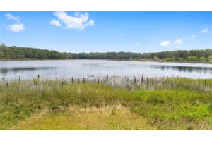 14620 47TH LOOP, OCKLAWAHA, FL 32179 Sold 09/30/25