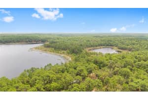 14620 47TH LOOP, OCKLAWAHA, FL 32179 Sold 09/30/25