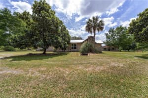 17650 NE STATE ROAD 121, WILLISTON, FL 32696 Sold 12/16/25