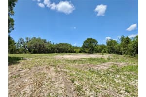 7349 19TH AVENUE ROAD, OCALA, FL 34475 - MLS#MFROM700170