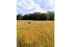 W HWY 326, OCALA, FL 34482 - MLS#MFROM700172