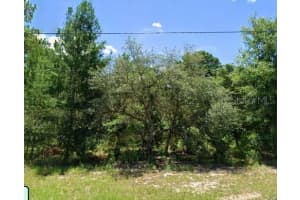 16869 20TH COURT ROAD, OCALA, FL 34473 Sold 07/12/25