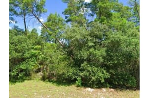 17108 20TH COURT ROAD, OCALA, FL 34473 Sold 07/12/25