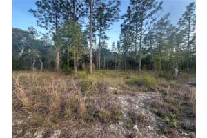 LOT 3 AMBERJACK AVENUE, DUNNELLON, FL 34431 - MLS#MFROM700215