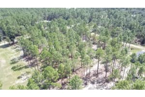 00 SW 69TH PLACE OCALA, FL 34481-, OCALA, FL 34481 - MLS#MFROM700254