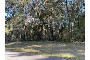 0 141 PLACE, OCALA, FL 34473 - MLS#MFROM700258