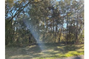 0 141 PLACE, OCALA, FL 34473 - MLS#MFROM700258